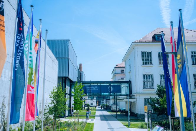 Blick auf den Campus Krems