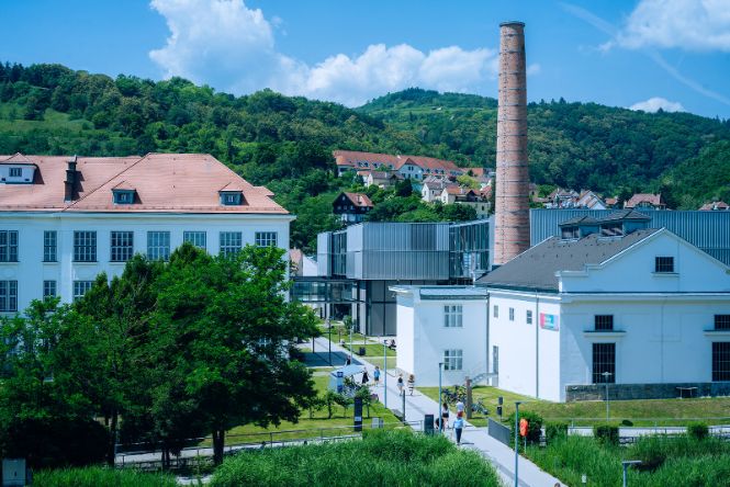 Blick auf den Campus Krems und die Weinberge