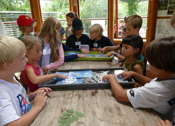 Kinder sitzen um Tisch 