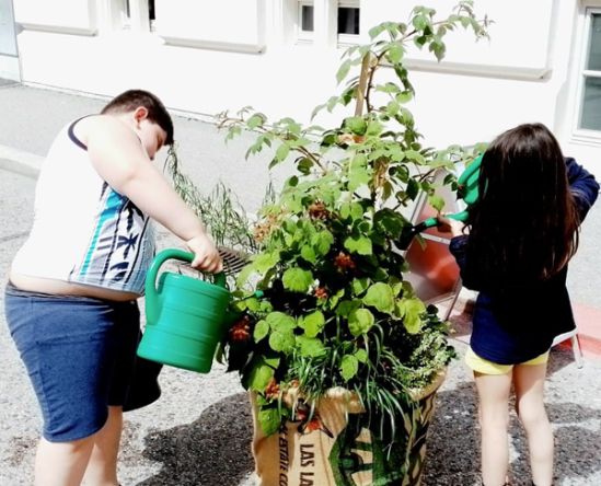 Kinder gießen Blumentopf