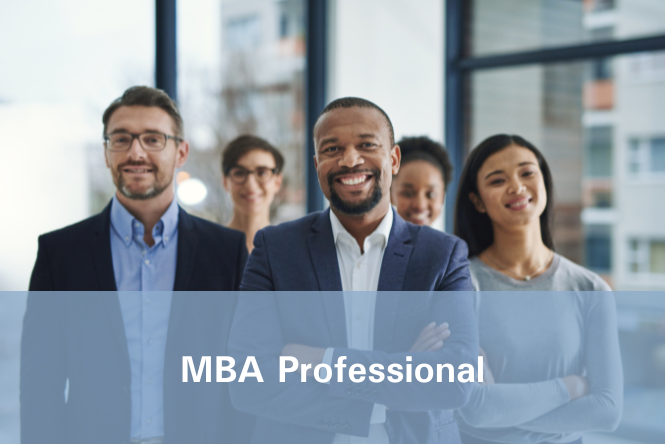 MBA Professional