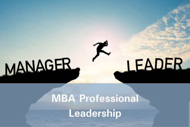 MBA Professional Leadership