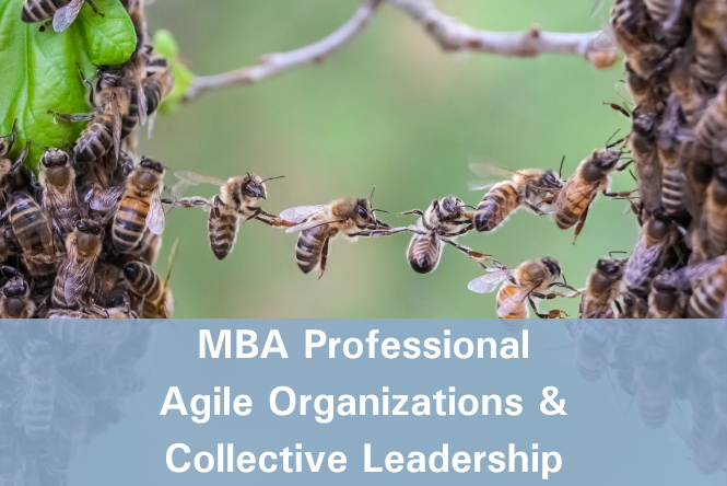 MBA Professional Agile Organizations