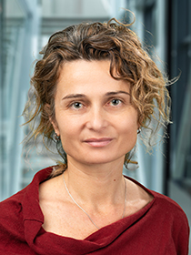 © Daniel Novotny Linda Dezso